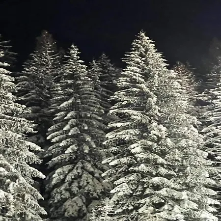 شقة Moderne Mit Garten In Eimelrod