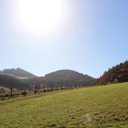 In The Sauerland Region In Unique Location Apartament Willingen (Upland)