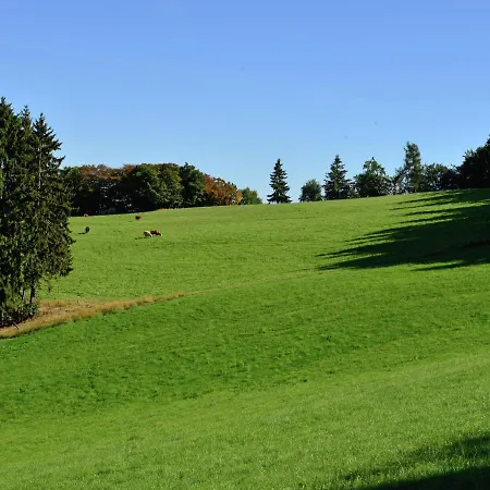 In The Sauerland Region In Unique Location Willingen (Upland)