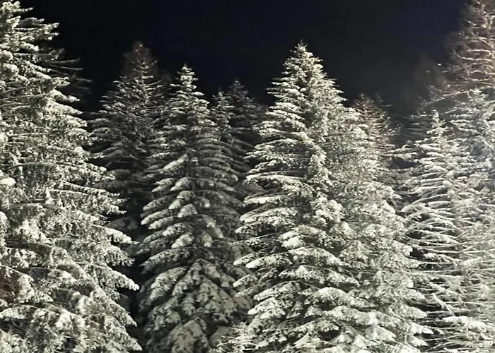 公寓 Moderne Mit Garten In Eimelrod