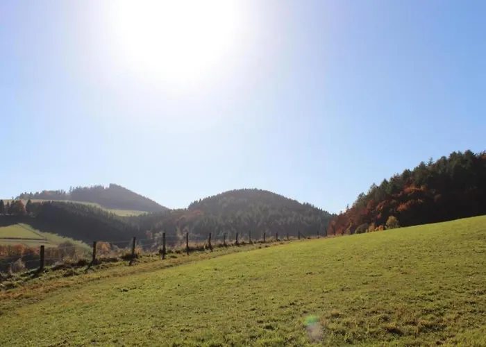 Moderne Mit Garten In Eimelrod 公寓 维林根