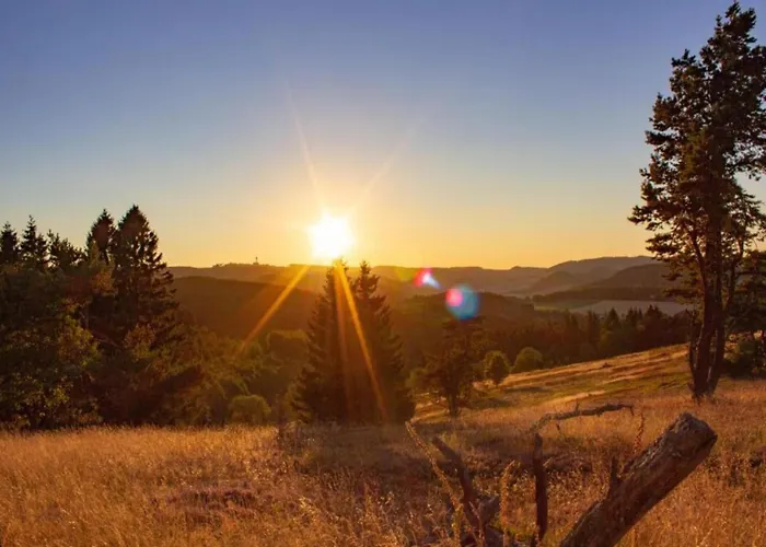 Moderne Mit Garten In Eimelrod 公寓